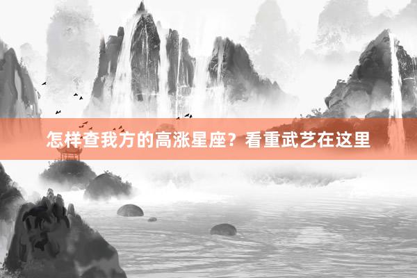 怎样查我方的高涨星座？看重武艺在这里