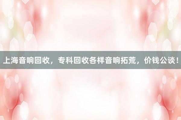 上海音响回收，专科回收各样音响拓荒，价钱公谈！