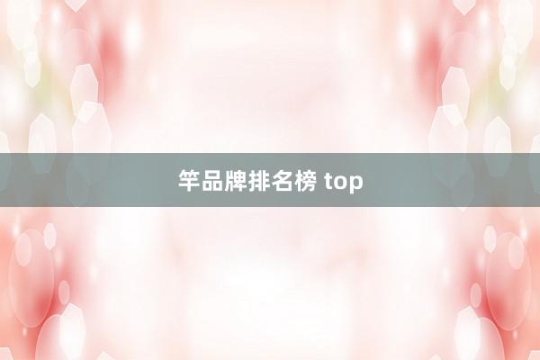 竿品牌排名榜 top